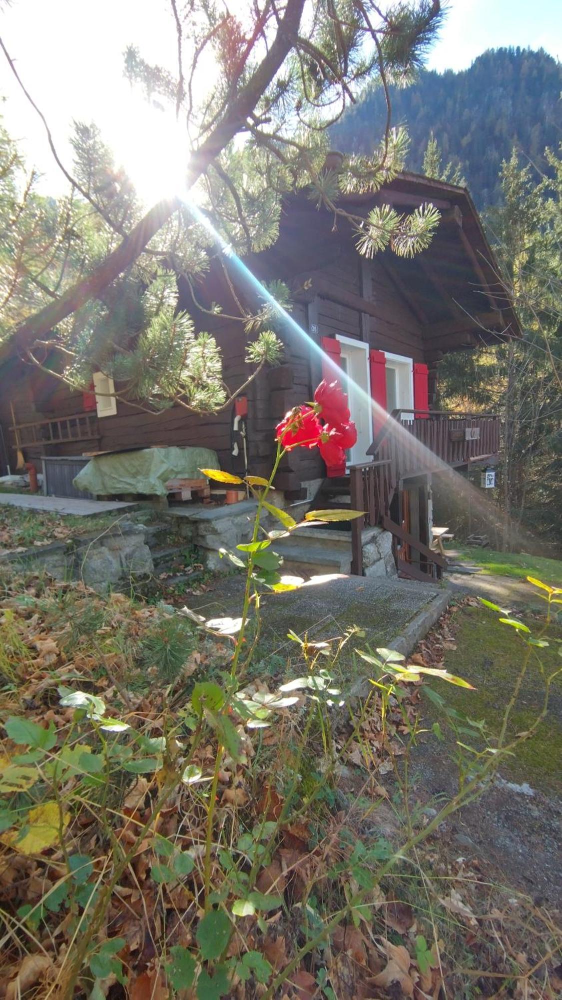 Petit Chalet Rustique Et Bucolique Bovernier Екстер'єр фото